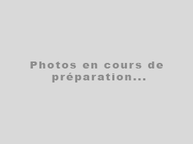 A vendre Volvo S80 à Chilly-Mazarin 91380